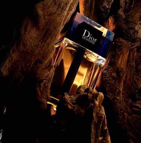 dior homme 2020 douglas|dior cologne.